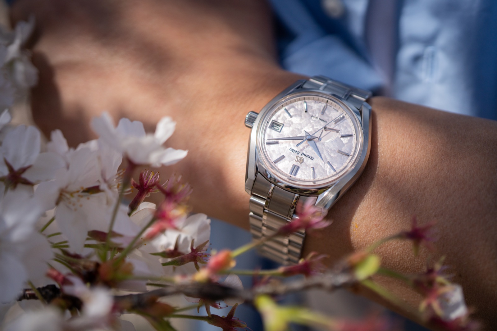 SBGA443 花筏と桜
