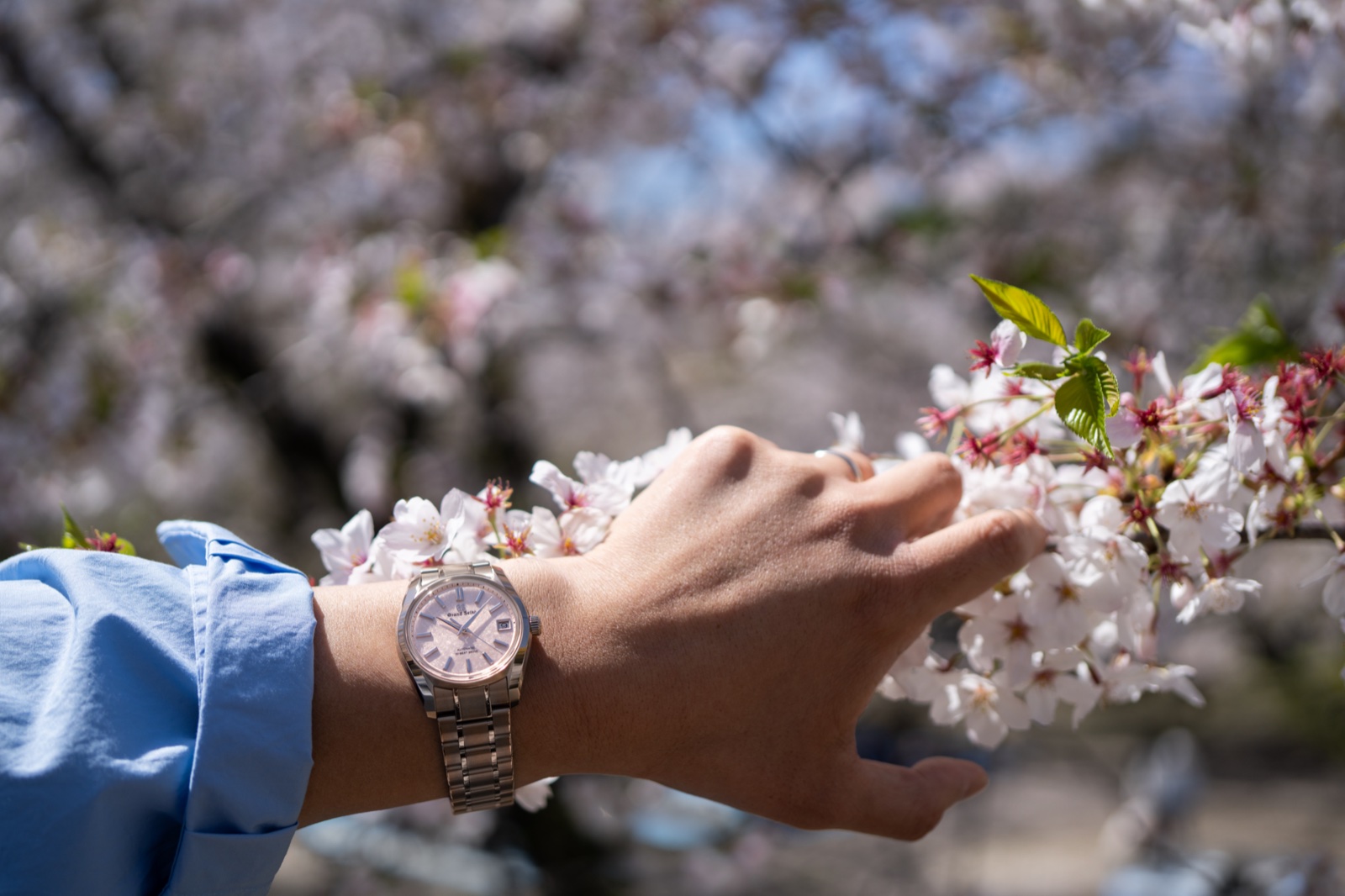 SBGH341 桜と腕に